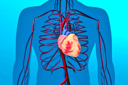 O debilitamento do sistema circulatorio é un factor de risco para a presión arterial alta